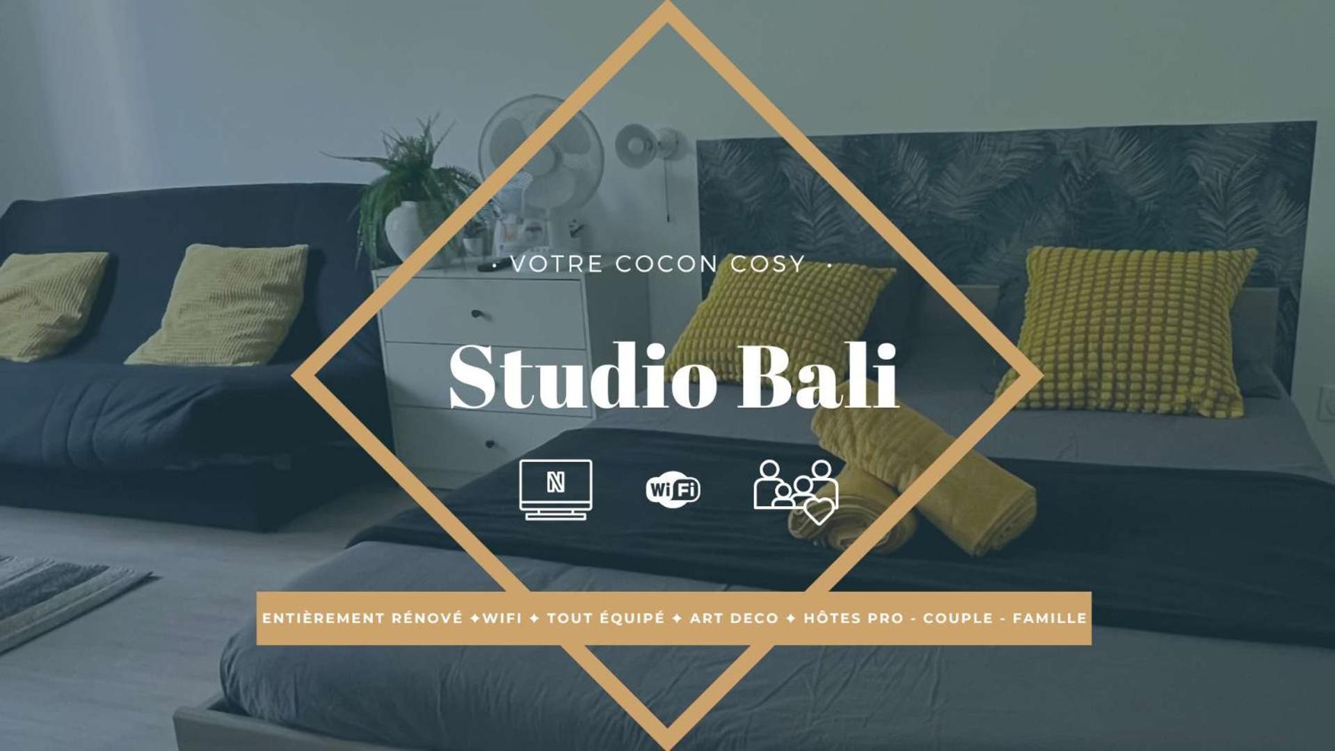 Studios Cozy Proche Gare Tgv Chatellerault Ngoại thất bức ảnh